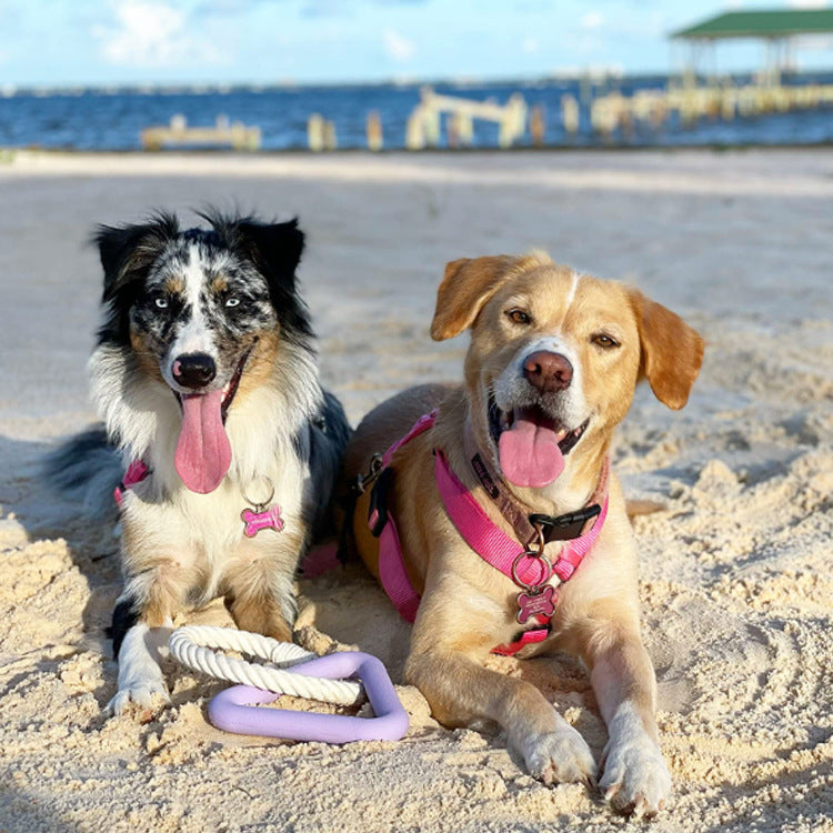 Dog Tug & Chew Toy