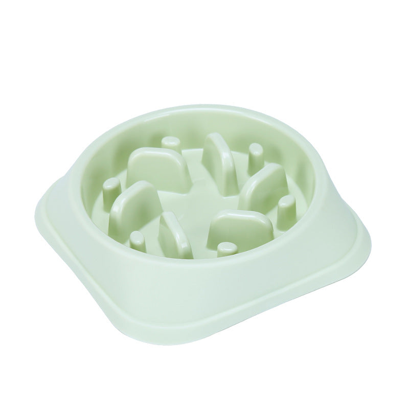 Slow Food Bowl