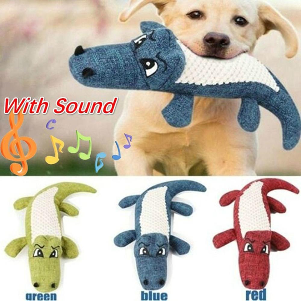 Dog Chew Squeaky Noise