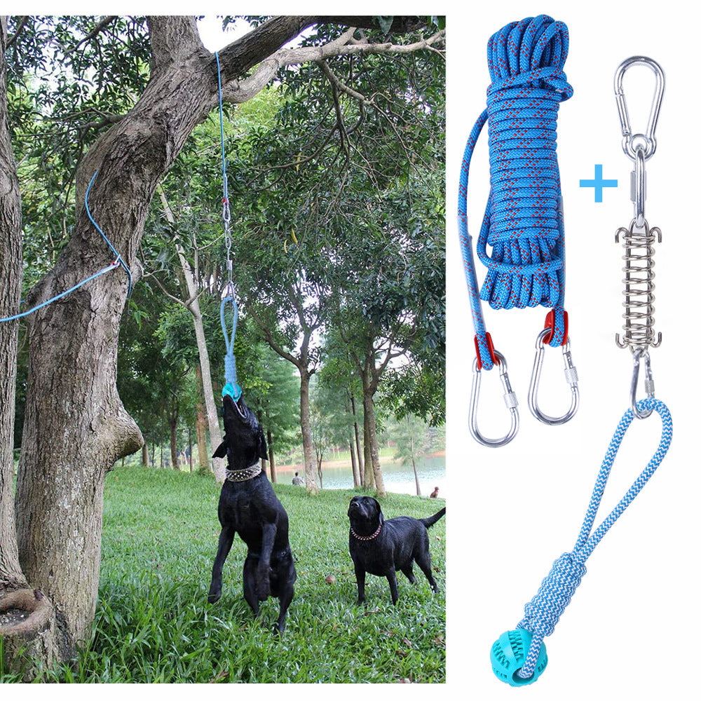 Spring Rope Dog Tug Toy