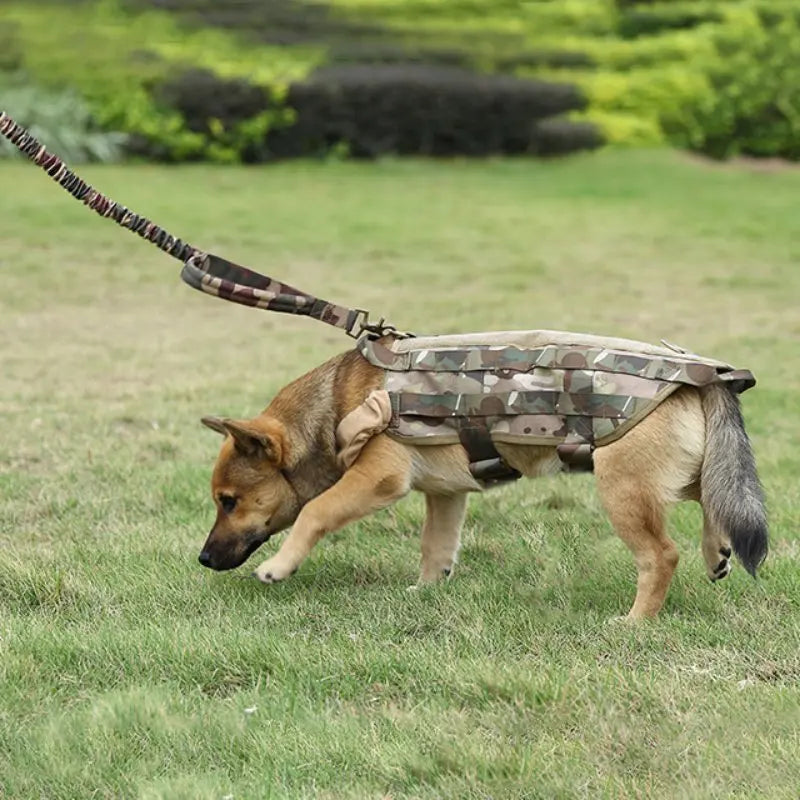 Training Dog Leash