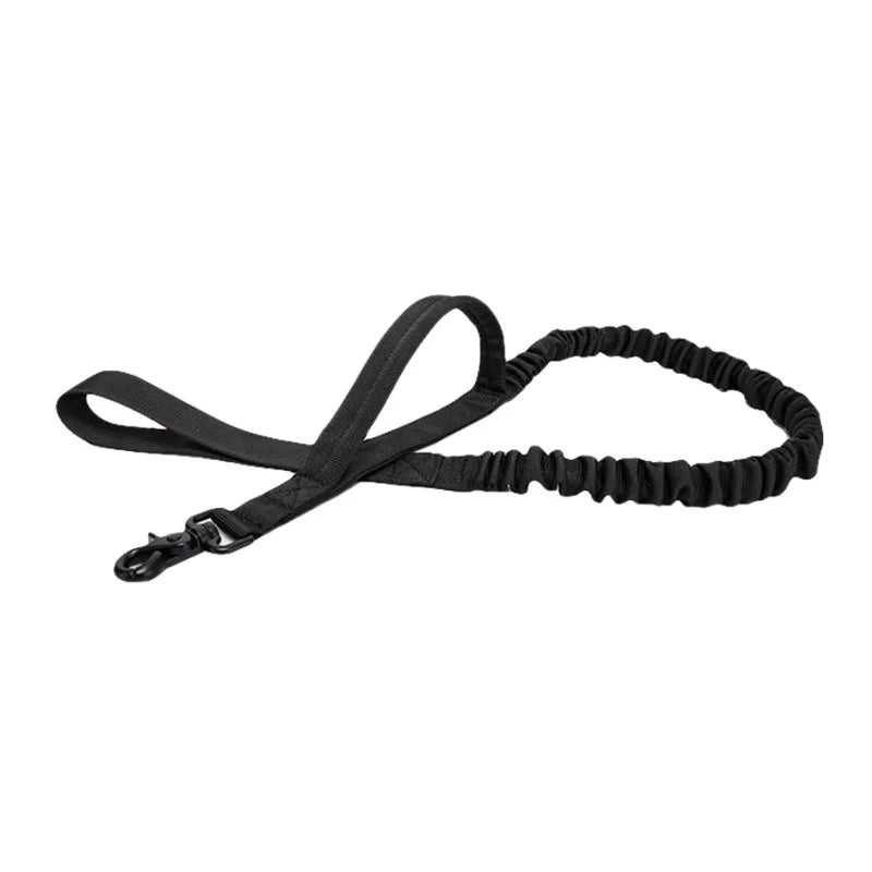 Training Dog Leash