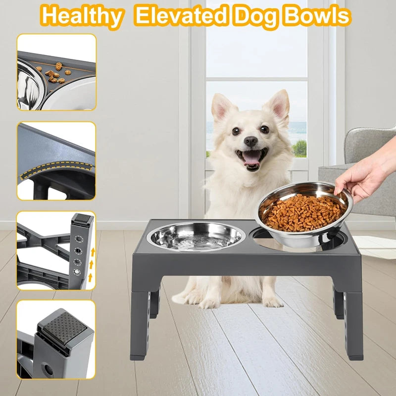 Elevated Dog Feeder with Adjustable Raised Stand