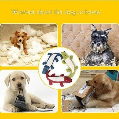 Dog Chew Squeaky Noise