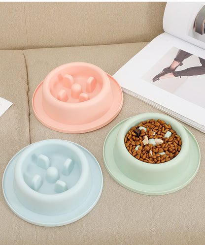 Cat and Dog Shared Pet Slow Food Slow Food Bowl