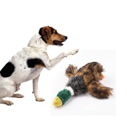 Wild Duck Toy