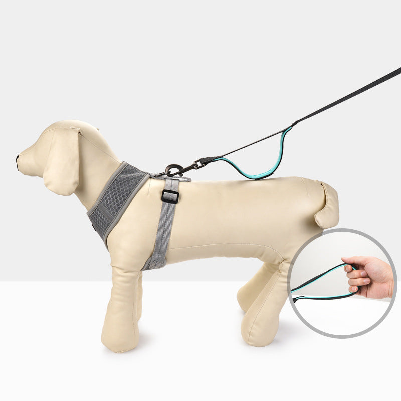 Medium And Large Dog Leash Double Handle Reflective Elastic Leash Explosion-Proof
