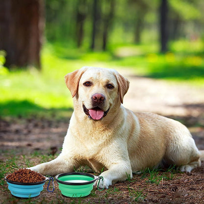 Collapsible Silicone Pet Travel Bowl