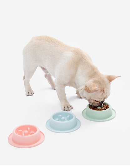 Cat and Dog Shared Pet Slow Food Slow Food Bowl