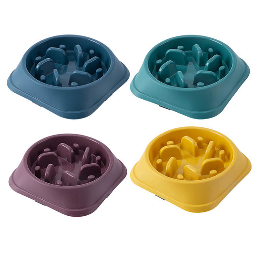 Slow Food Bowl