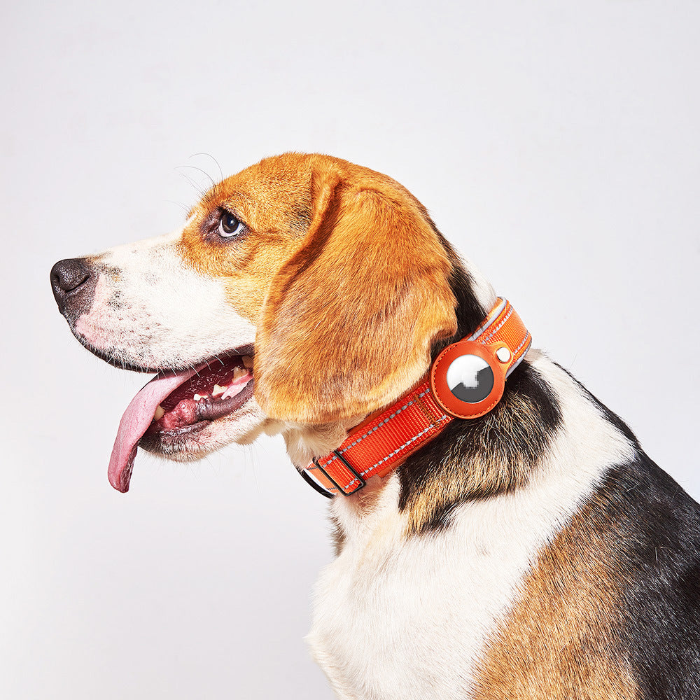 Apple Airtag Dog Collar