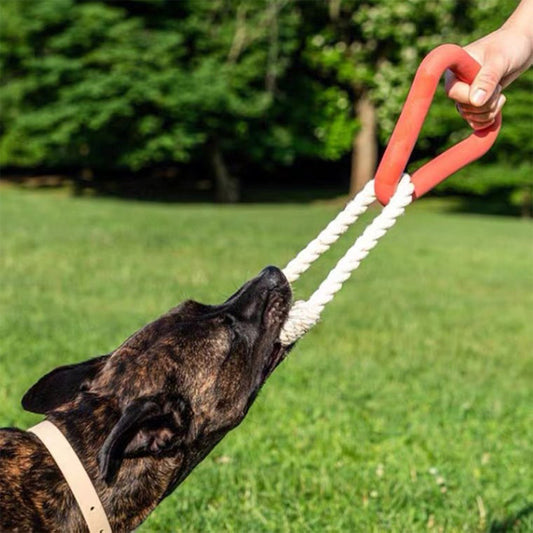 Dog Tug & Chew Toy