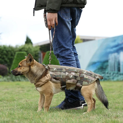 Training Dog Leash